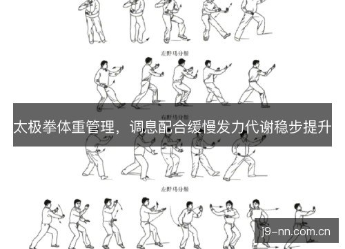 太极拳体重管理，调息配合缓慢发力代谢稳步提升